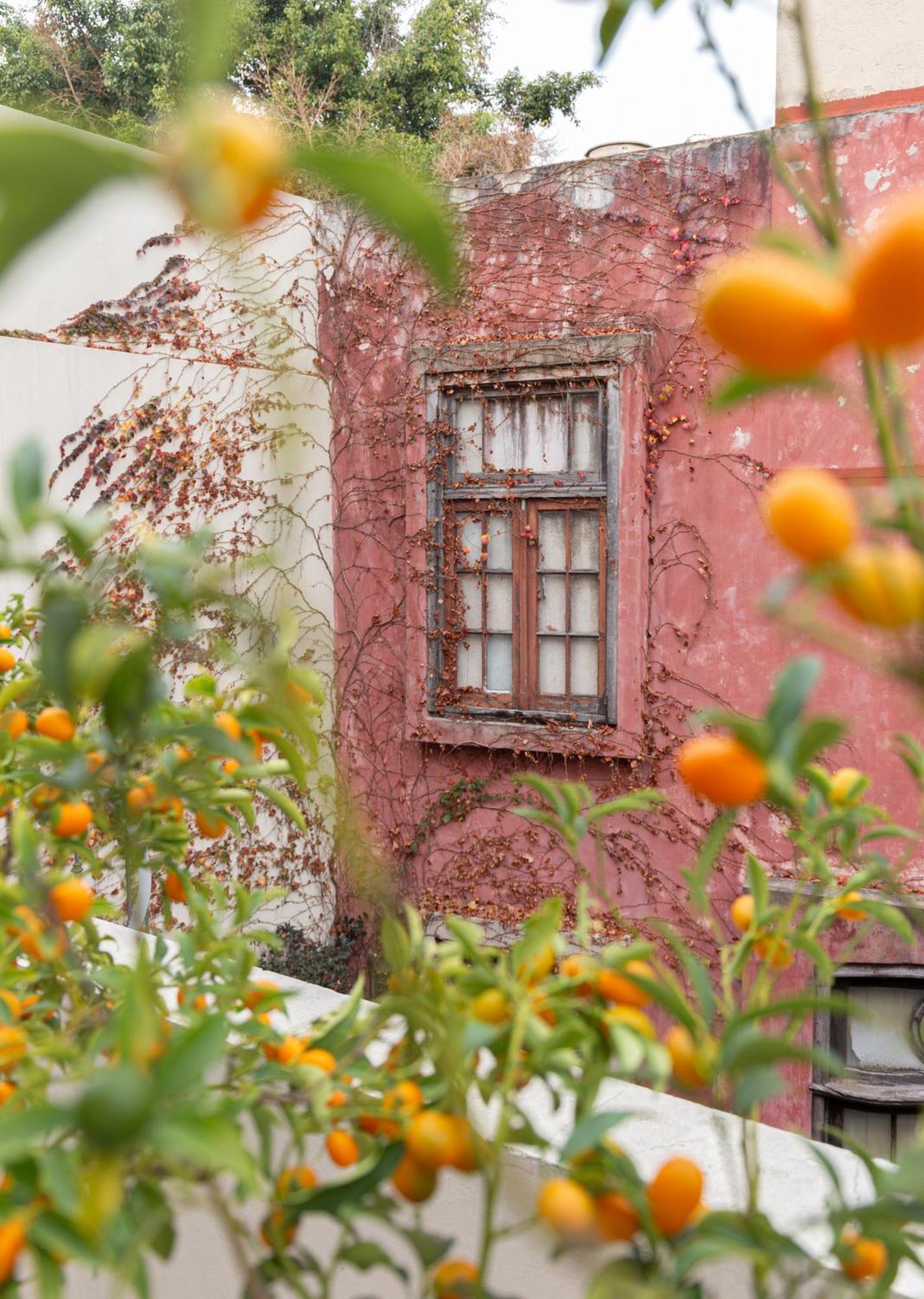 Casa Chic Palermo Soho Ξενοδοχείο Μπουένος Άιρες Εξωτερικό φωτογραφία